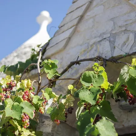 Casa vacanze Trulli&dimore - Trulli Piccoli